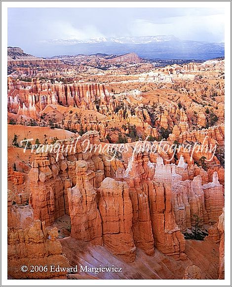 450522   Hoodoos of Bryce NP with an on coming snow storm